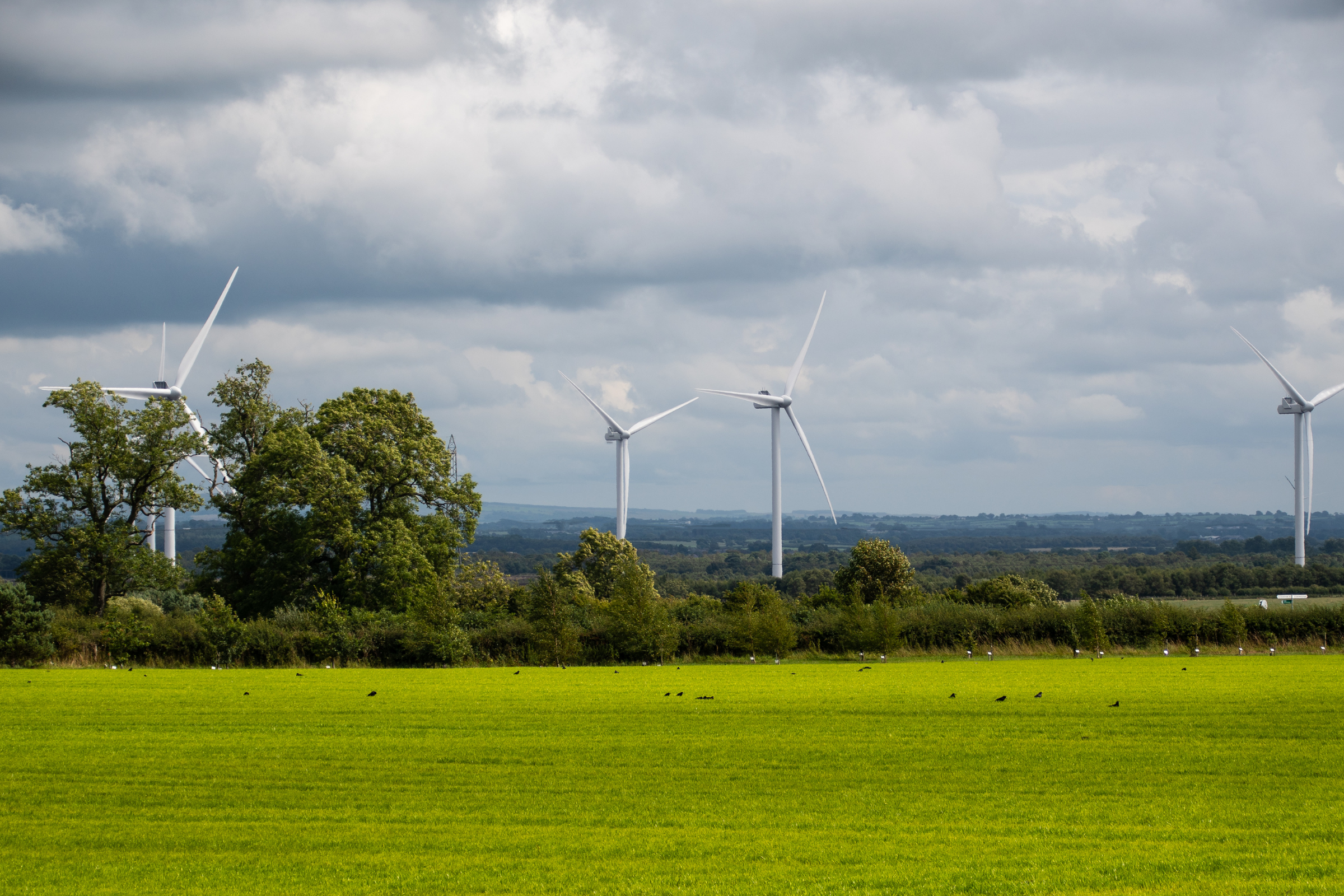 gretna green (2).webp